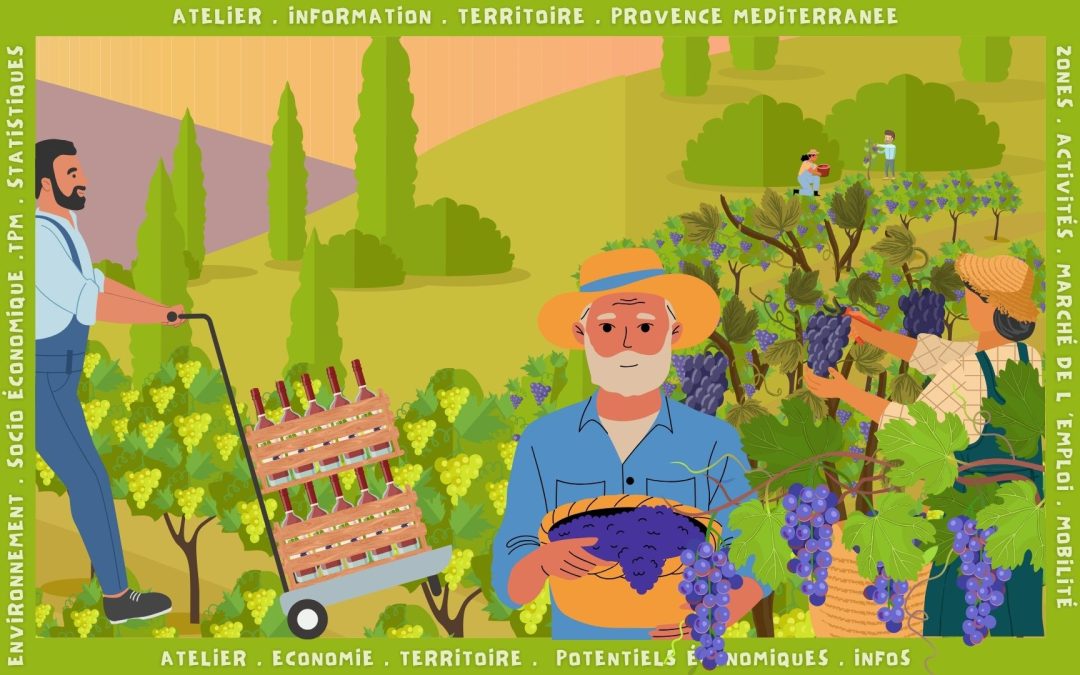 Atelier : Connaître Provence Méditerranée pour travailler