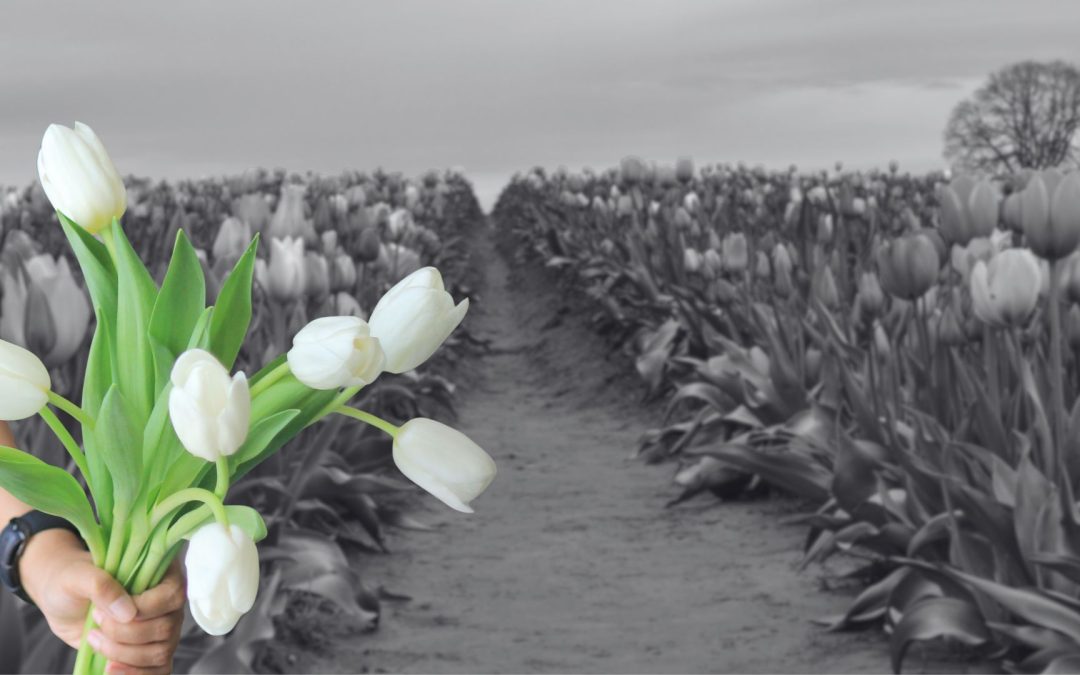 Atelier : Connaître Provence Méditerranée pour travailler