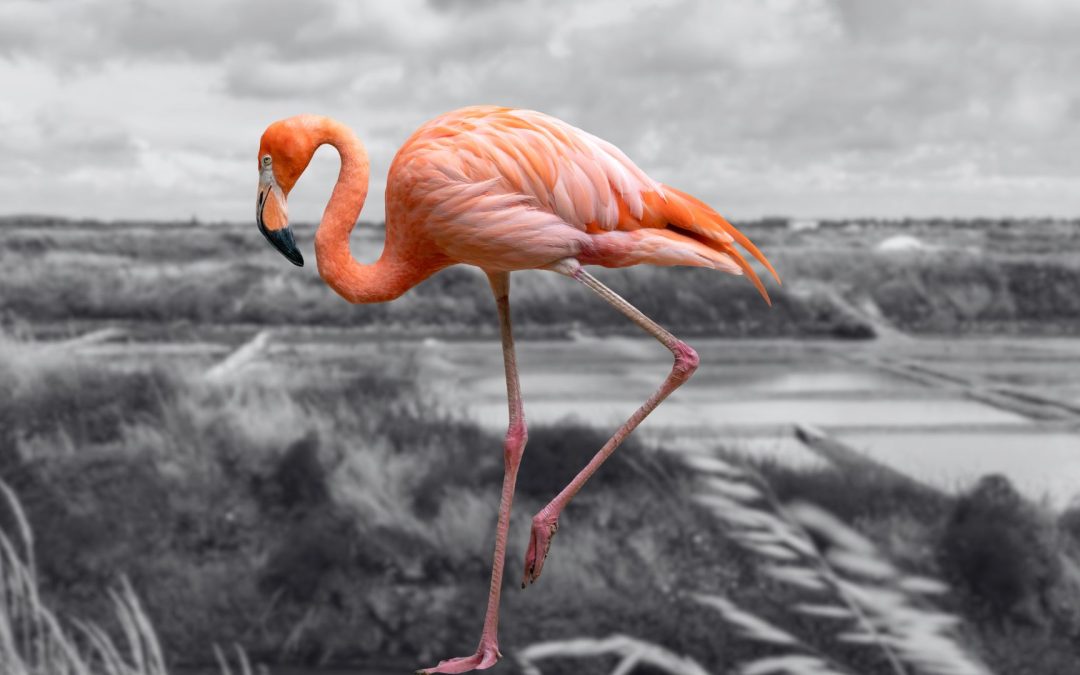 Atelier : Connaître Provence Méditerranée pour travailler