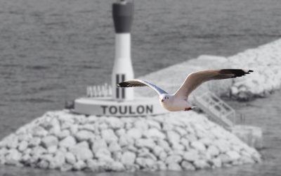 Connaître Provence Méditerranée pour travailler