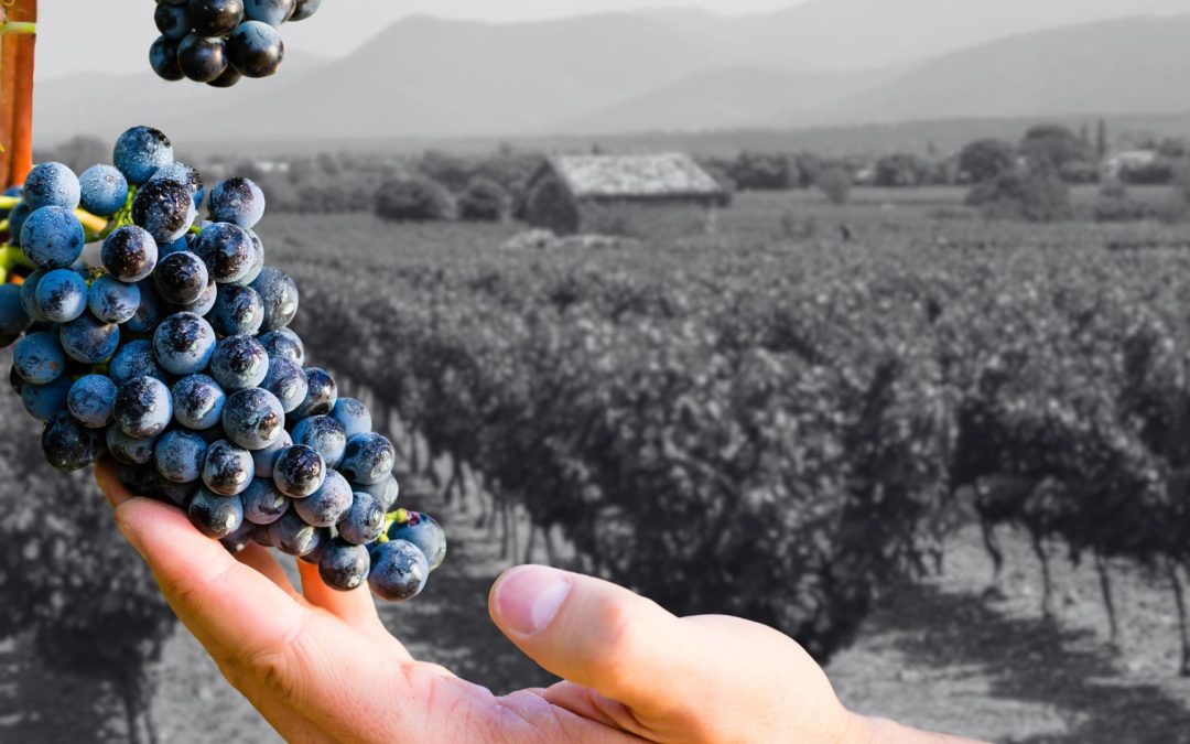 Connaître Provence Méditerranée pour travailler