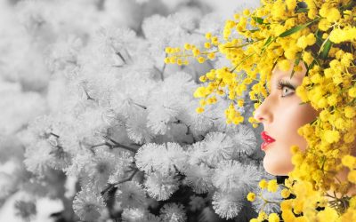 Atelier : Connaître Provence Méditerranée pour travailler